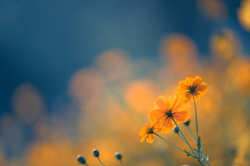 国产车离高端有多远