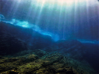 国产车大换标失败成功者是谁？