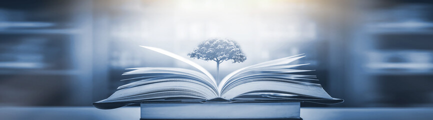 为什么很多人喜欢福原爱？