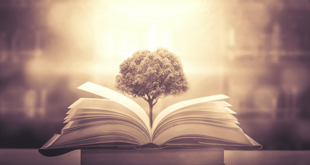 年终总决赛女双冠军最多的是谁