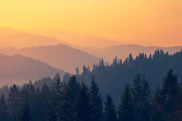 10万以内落地的轿车有哪些车型值得推荐？