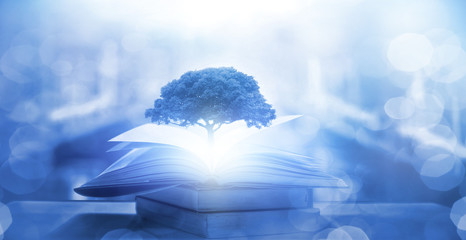 10万以内落地的轿车有哪些车型值得推荐？