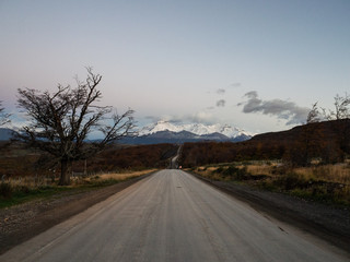 2008年奥运会乒乓球的冠军是谁？