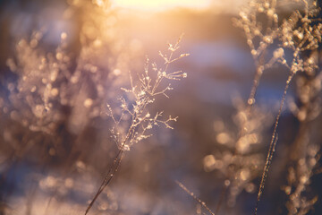 国产车大换标失败成功者是谁？