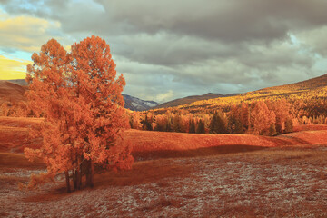 小学体育比赛活动方案