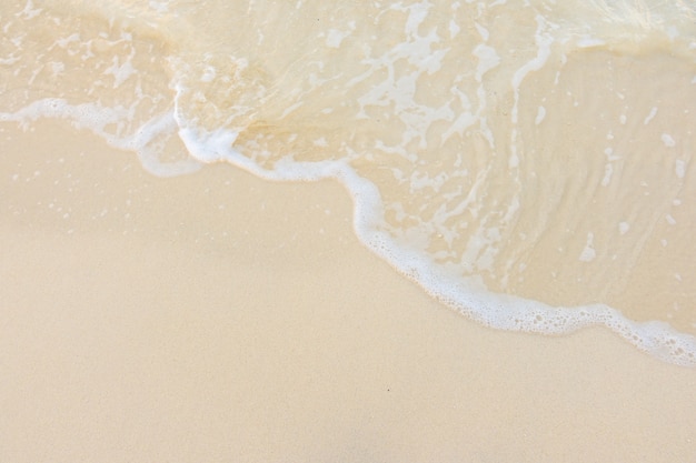 为什么很多人喜欢福原爱？