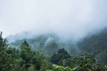 年终总决赛女双冠军最多的是谁